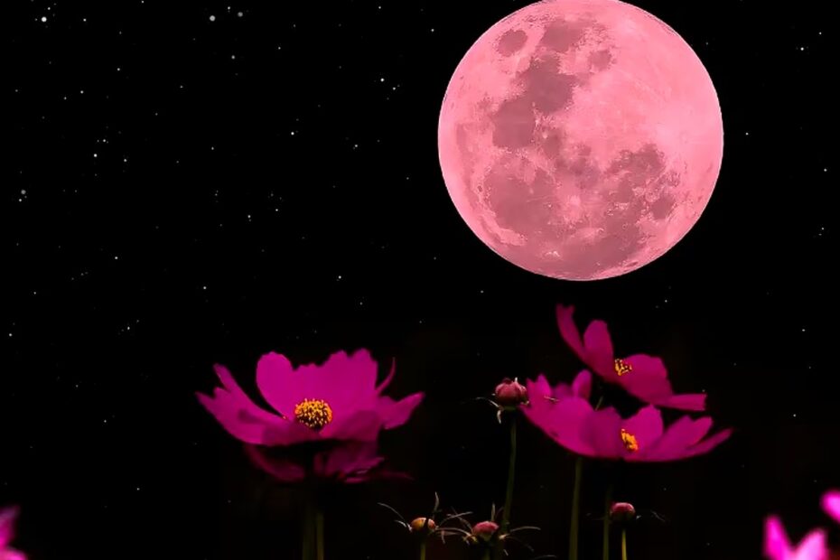 Luna rosa